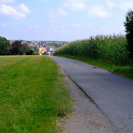 Ferienwohnung Friedrich Michelstadt Kültér fotó